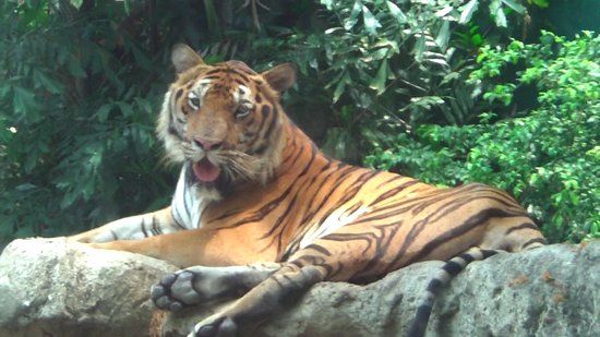 Dusit Hayvanat Bahçesi